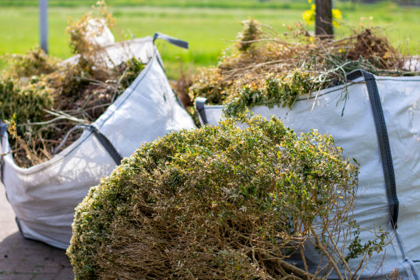 Best Trash Removal Near Me  in Decatur, IN